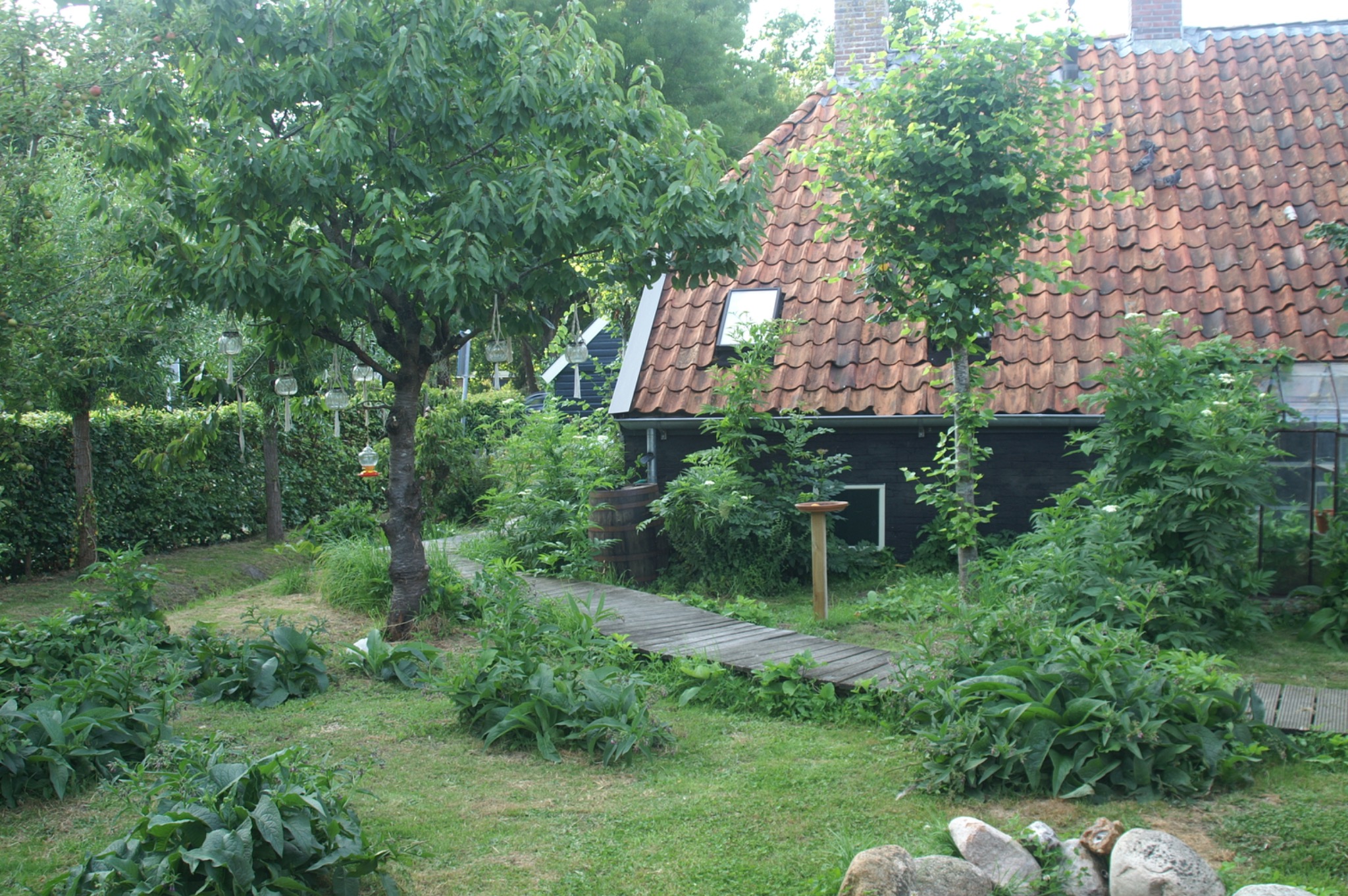 De groene tuin achter de huisjes, met een houten pad langs de zwarte gevel.